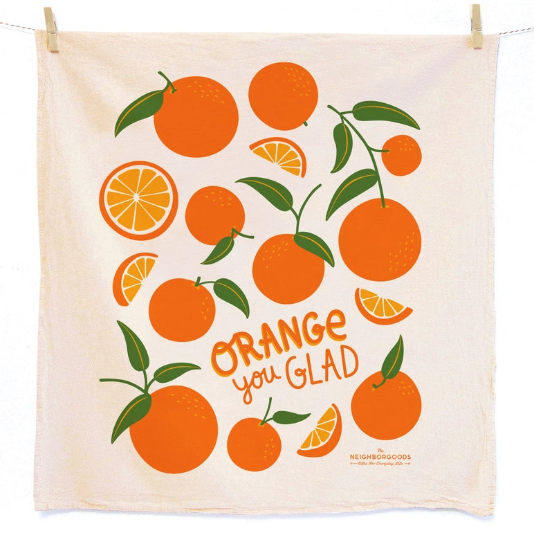 Orange Dish Towel Sponge Set