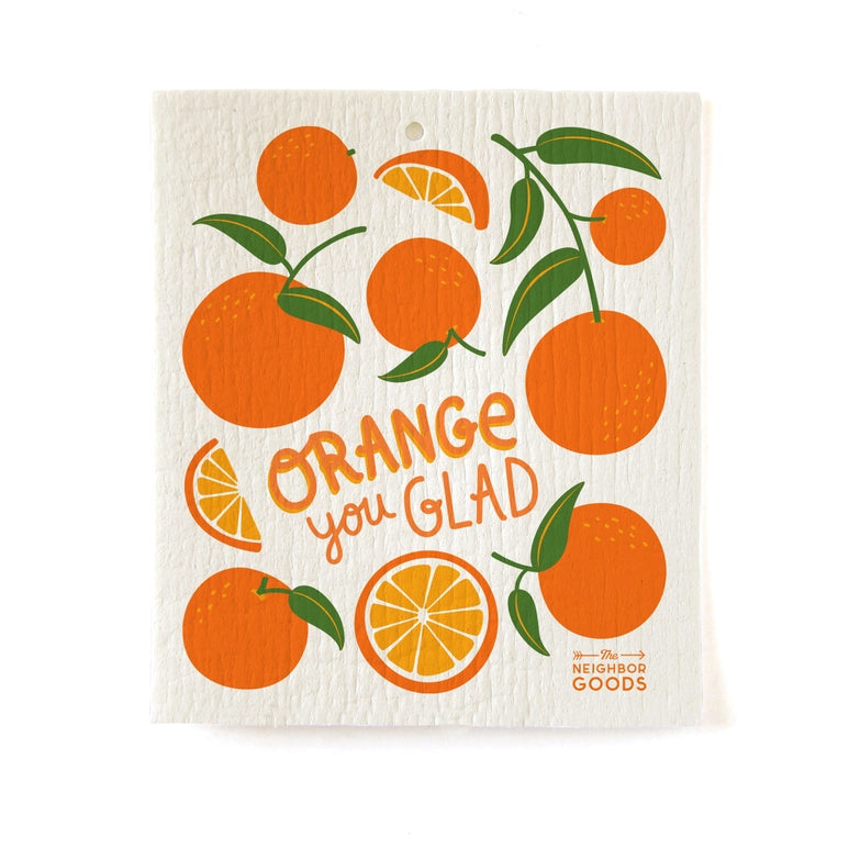 Orange Dish Towel Sponge Set