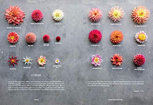 Floret Farm&