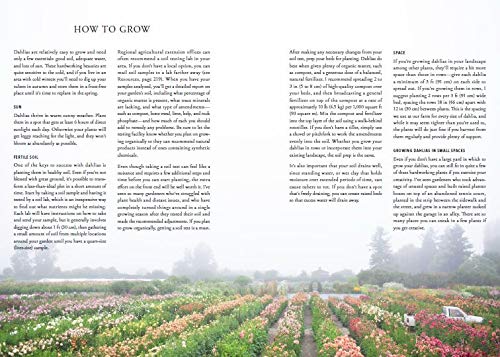 Floret Farm&