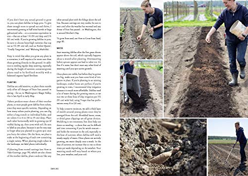 Floret Farm&