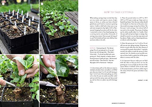 Floret Farm&