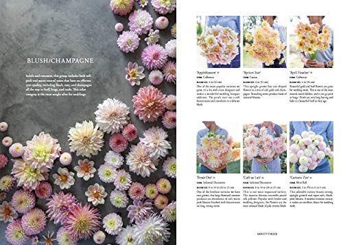 Floret Farm&