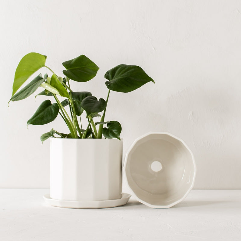 Riveted Planter & Saucer