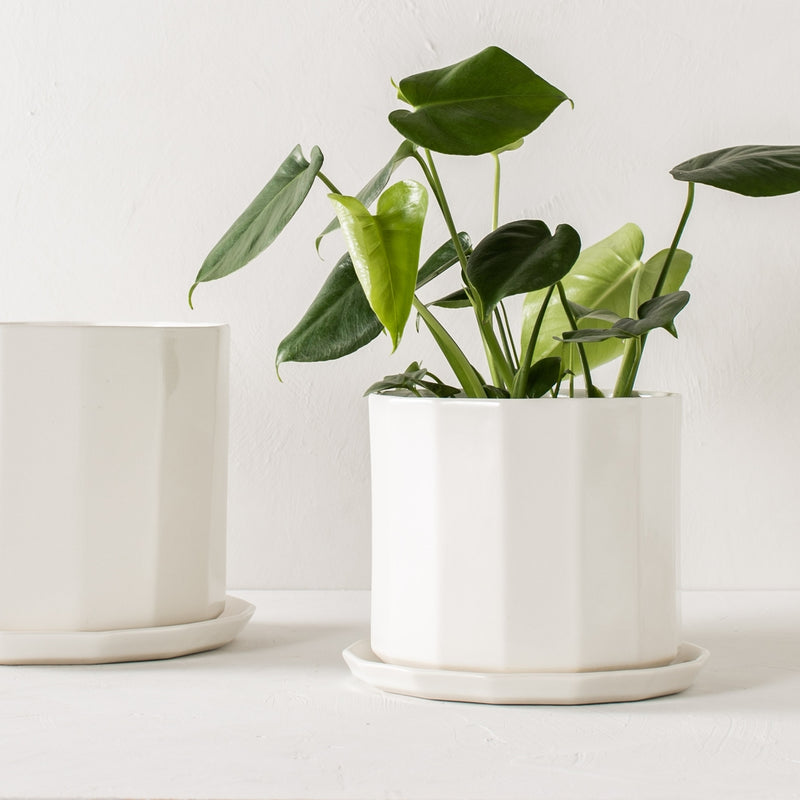 Riveted Planter & Saucer