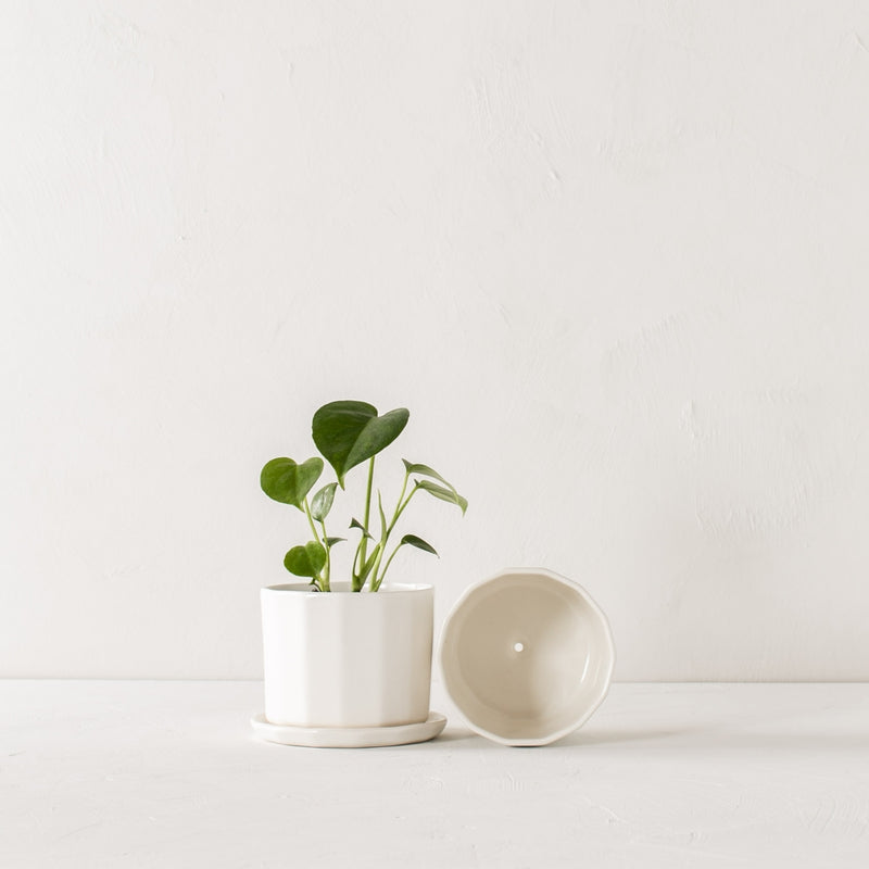 Riveted Planter & Saucer