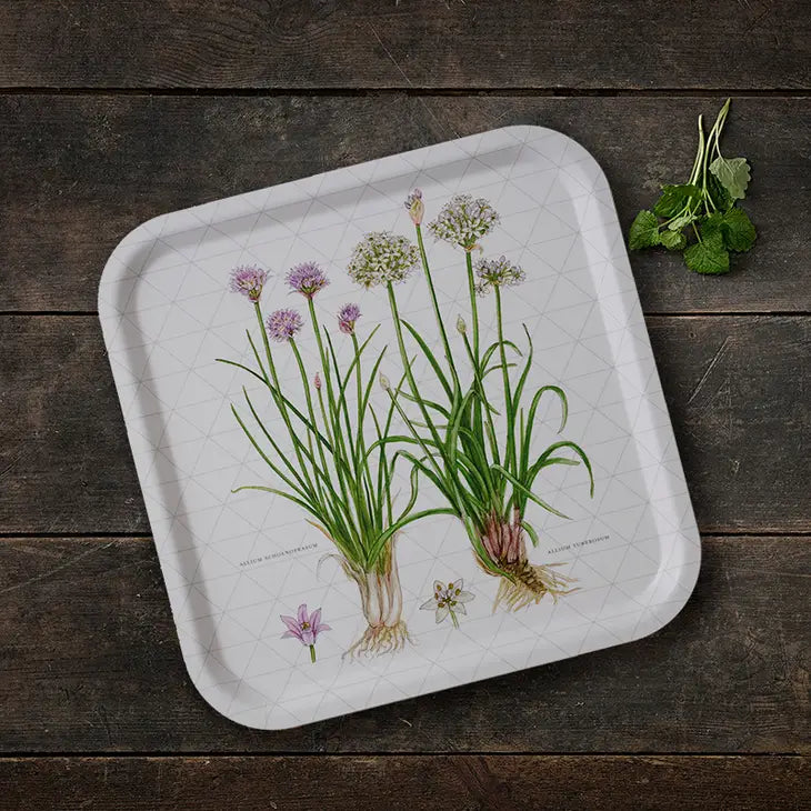 Herbs/Chives Square Tray