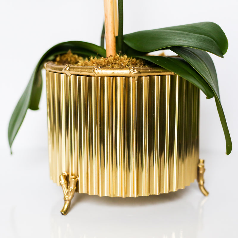 Corrugated Bamboo Cachepot - Small Brass