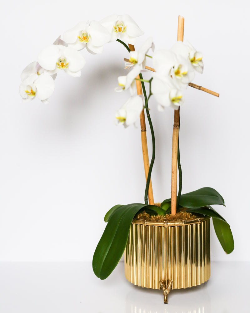 Corrugated Bamboo Cachepot - Small Brass