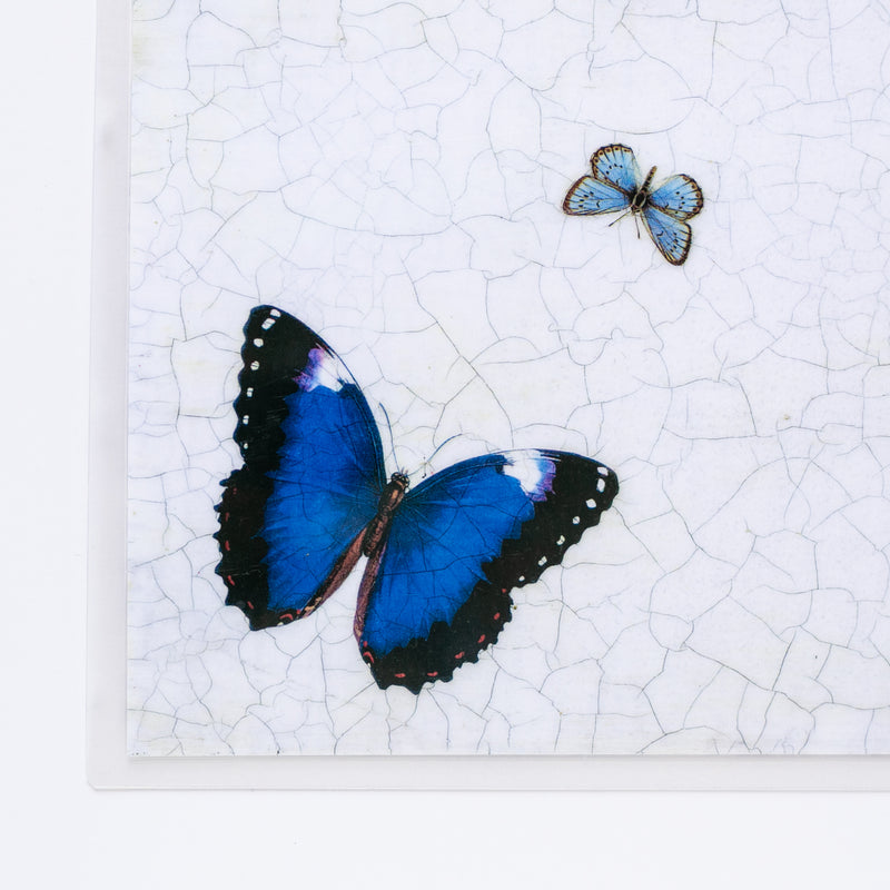 Butterfly Square Blue Mat