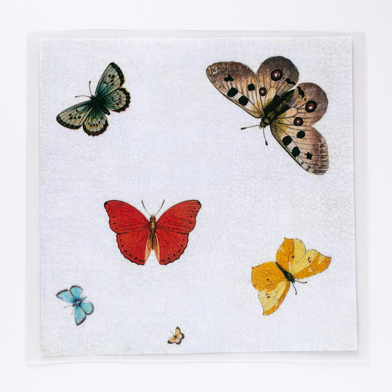 Butterfly Square Multi-Colored Mat